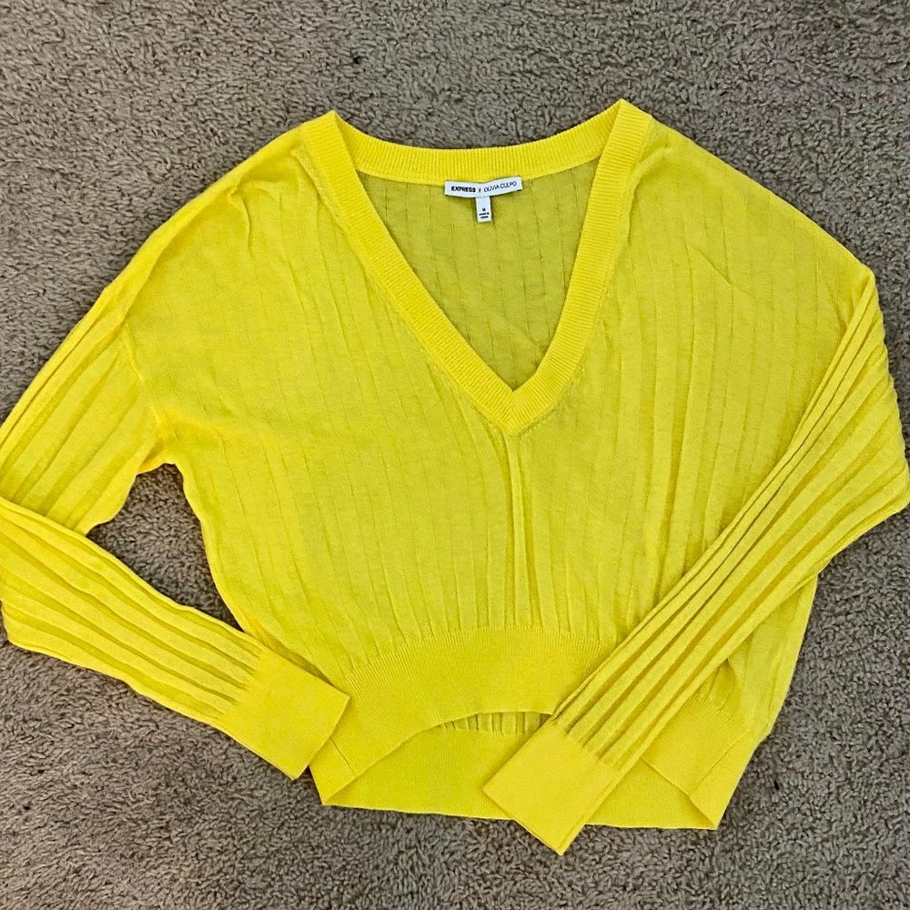Express Vince Camuto V-Neck Sweater